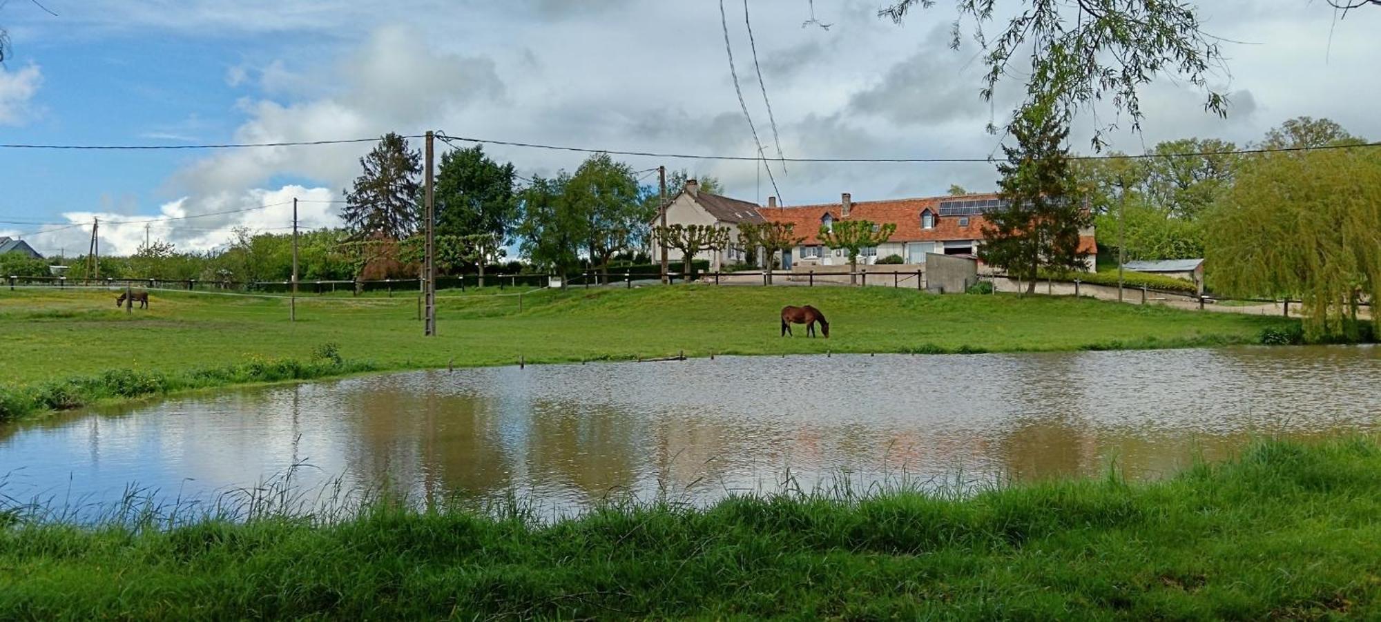 Hotel La Ferme Des Bigornes Châtillon-sur-Indre Exterior foto